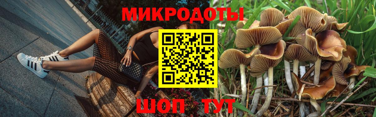 Кинель  Галлюциногенные грибы прущие грибы  Вход с VPN  наркотики  Галлюциногенные грибы Psilocybine cubensis 